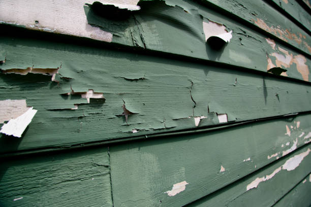 How To Choose The Right Materials for Your Siding Installation in 'Hammond, LA